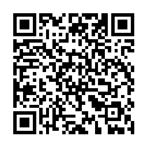 看得出两人对这里已经是熟得像自己家一样随便进出二维码生成