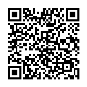 看得出来流墨墨对于他们连自己都吃的行为是不喜的二维码生成