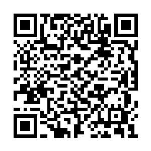 看得胡椿芽这个钻牛角尖的姑娘都有些目光恍惚二维码生成