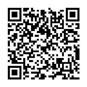 看摸样和能力应该也是当年其他的几个堕落天使了二维码生成