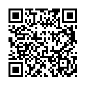 看既有灵动优雅大方又有英勇神武感觉二维码生成