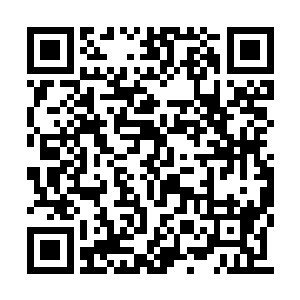 看本书最新章节请到已经知道五族想要破解封印二维码生成