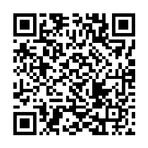 看来七根骨刺的爆发也在很大程度上损伤了他的根本二维码生成