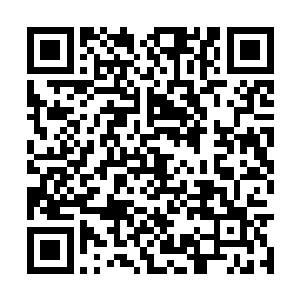 看来不用我再招呼他们了那帮小兔崽子都等在外面二维码生成