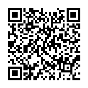 看来与这乡野山间随处可见的村人也并无多大区别二维码生成