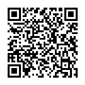 看来之前林东邀约自己去跟伍曦他们碰头还真是有内容二维码生成