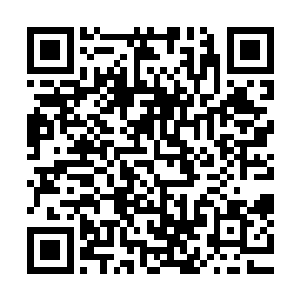 看来亿万年前修罗王被其他三王联合斩杀的消息是错误的……二维码生成