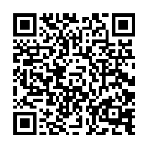 看来今天是言家元婴期以上的修士在举行一个重要的会议二维码生成