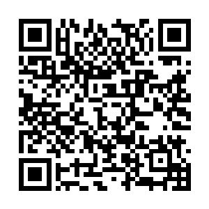 看来今天这买卖对她们双方来说都达成了预期目标二维码生成