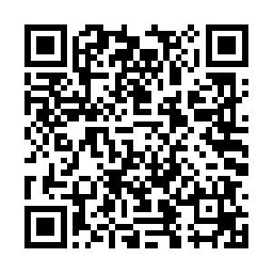看来他们这两个老家伙也不是特别被区分的那一种二维码生成