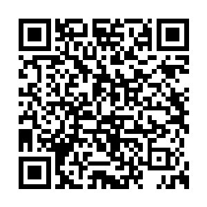 看来他家在教育系统里也不是一个人都不认识的二维码生成