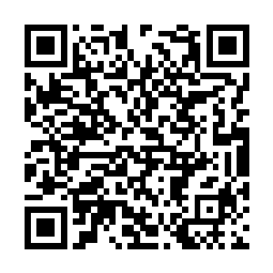 看来他年轻的时候在武学上面还是花过一点功夫的二维码生成