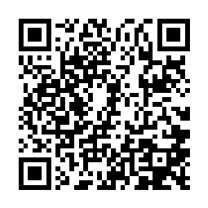 看来仙帝初期顶峰的傀儡兽已经对我没有什么威胁了二维码生成