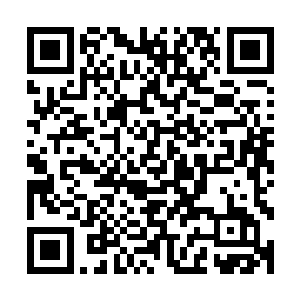 看来以后还是要专门找些毒药毒草什么的来补充这神秘热流啊二维码生成