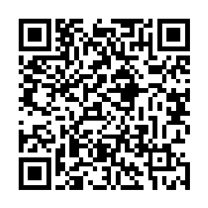 看来你们果然有和内院那位惊云堂创始人有秘密的联系方式二维码生成