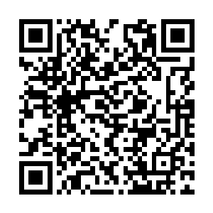 看来你在进化之后也想好好施展一下自己的力量啊二维码生成