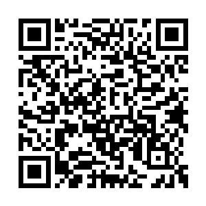 看来你已经查清楚了……哼……你现在应该明白二维码生成