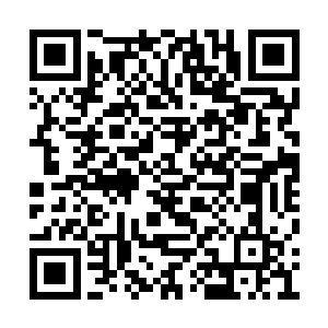 看来又有宵小之辈想要来挑衅我们苏家的地位了二维码生成
