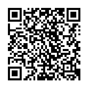 看来只有找到那个妙雅公主掉入的地洞才知道是什么是黑煞了二维码生成