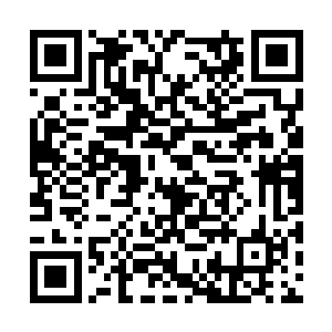 看来叶秋水要将防狼防盗防龙总的信念贯彻到底了二维码生成