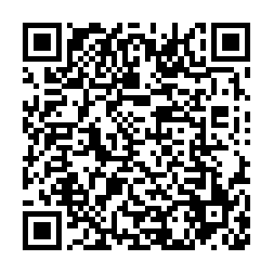 看来君白小朋友这次上野寺之行将春日之樱和少女之心都俘获了呢二维码生成