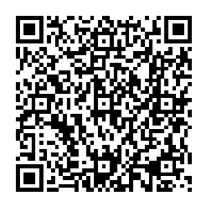 看来圈子里传言燕京第一美人喜欢上一个外地来的小中医的事情倒是真的了――秦洛先生二维码生成