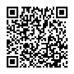 看来在这件事上仲华和司南下达成了某种交易了二维码生成