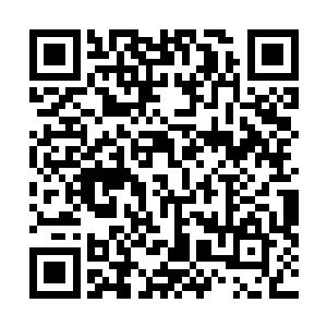 看来在这片辽阔山区活动的黑暗种族之间并不是铁板一块二维码生成