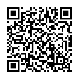 看来大师兄还炼化了能够容纳生命的乾机洞府啊二维码生成