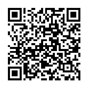 看来天机派还有天圣宗真的打算将我们一网打尽了二维码生成