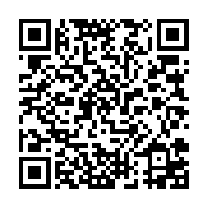 看来夭华这次是非要逼出消声灭迹已久的明郁不可了二维码生成