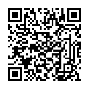 看来她已经接受了双胞胎妹妹这么喊秦洛的事实二维码生成