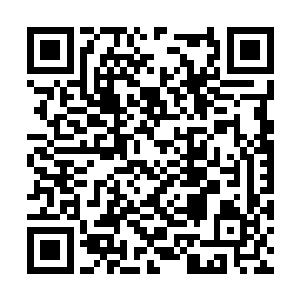 看来她的隐藏的实力也不止他们现在了解的这样啊二维码生成