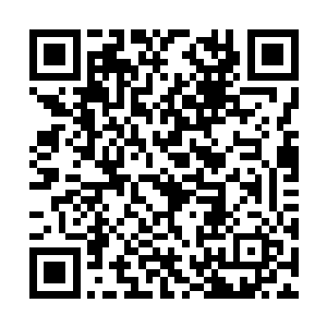 看来妖界的妖族们虽然知道这块大陆没有什么危险二维码生成