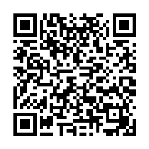看来妖若仙这些年和东郭里师徒呆在一起也没白混二维码生成