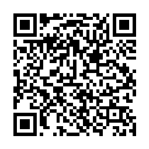 看来孩子的安危在祭司大人心中原来还不及一个当年的原因二维码生成