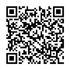 看来小师妹在闯王级塔的时候根本就没有亮出底牌二维码生成