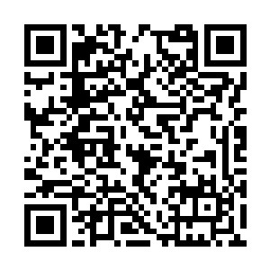 看来当初我在墓地深处的异次元帮杨广驱除魔障时二维码生成