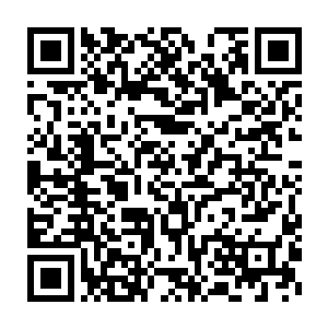 看来当日那金系本源之力对于白虎破坏力的提升比他想象中还要大二维码生成