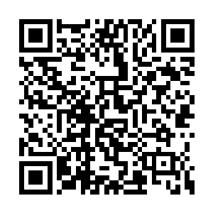 看来我们在场的所有修士这次转移都能够参与了二维码生成