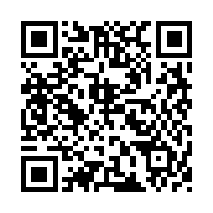 看来我们是等不到维尼少爷神奇的魔法了二维码生成