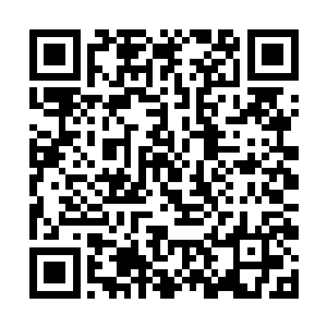 看来我只能和你谈谈你的下一部新片才能扳回一城了二维码生成