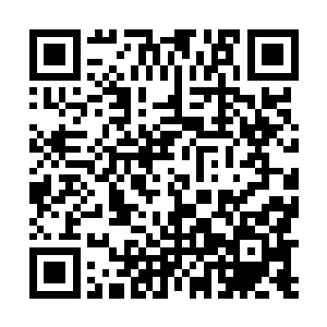 看来我得寻找一些阴属性的灵果移植到紫烟空间之内了二维码生成