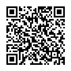 看来找对象这个事情从古至今父母的热情好像从来都没有消退过二维码生成