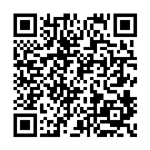 看来昨天晚上时候的招待略显有那么一些过火了二维码生成