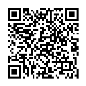 看来昨天疯丫头带来的人将尸体和血迹都收拾得很干净嘛二维码生成
