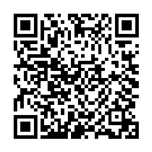 看来昨天的事情并没有给酒吧带来什么不良的影响和损失二维码生成