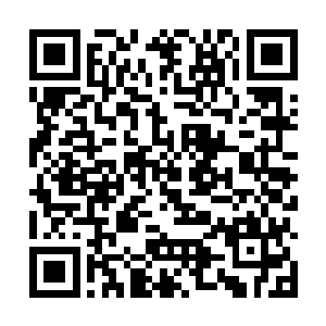 看来昨天那么多人死了的时候那些大家族就知道了~二维码生成