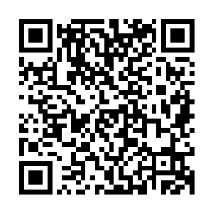 看来是不论如何都要把蕾妮公关进奥斯卡最佳女主角的提名里了二维码生成