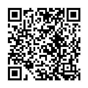 看来是龙傲天上一次给大家心里造成的伤害实在是太大了二维码生成